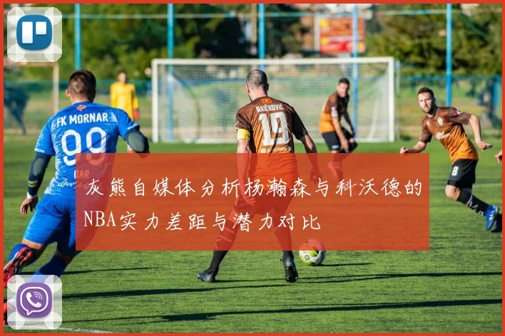 灰熊自媒体分析杨瀚森与科沃德的NBA实力差距与潜力对比